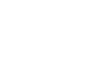 Partner Academy